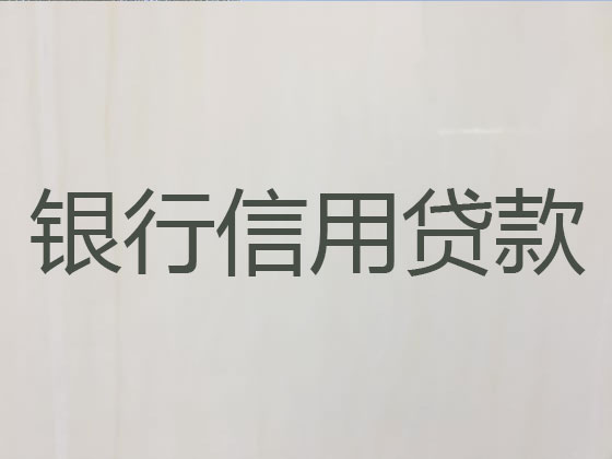 宁乡市信用贷款-抵押担保贷款
